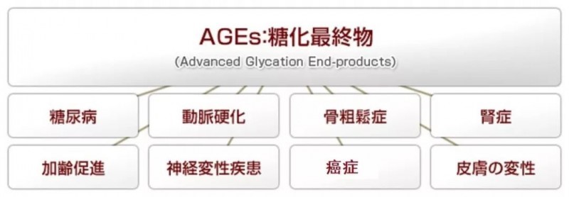 漸成熱潮的“抗糖化（AGEs）”市場(chǎng)及山竹的抗糖化效果